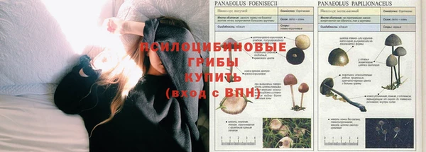 MDMA Premium VHQ Саяногорск