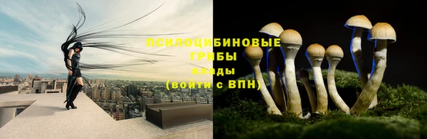 MDMA Premium VHQ Саяногорск