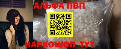СК Гатчина