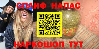 СК Гатчина