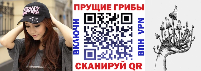 купить закладку  Алейск  Галлюциногенные грибы MAGIC MUSHROOMS 
