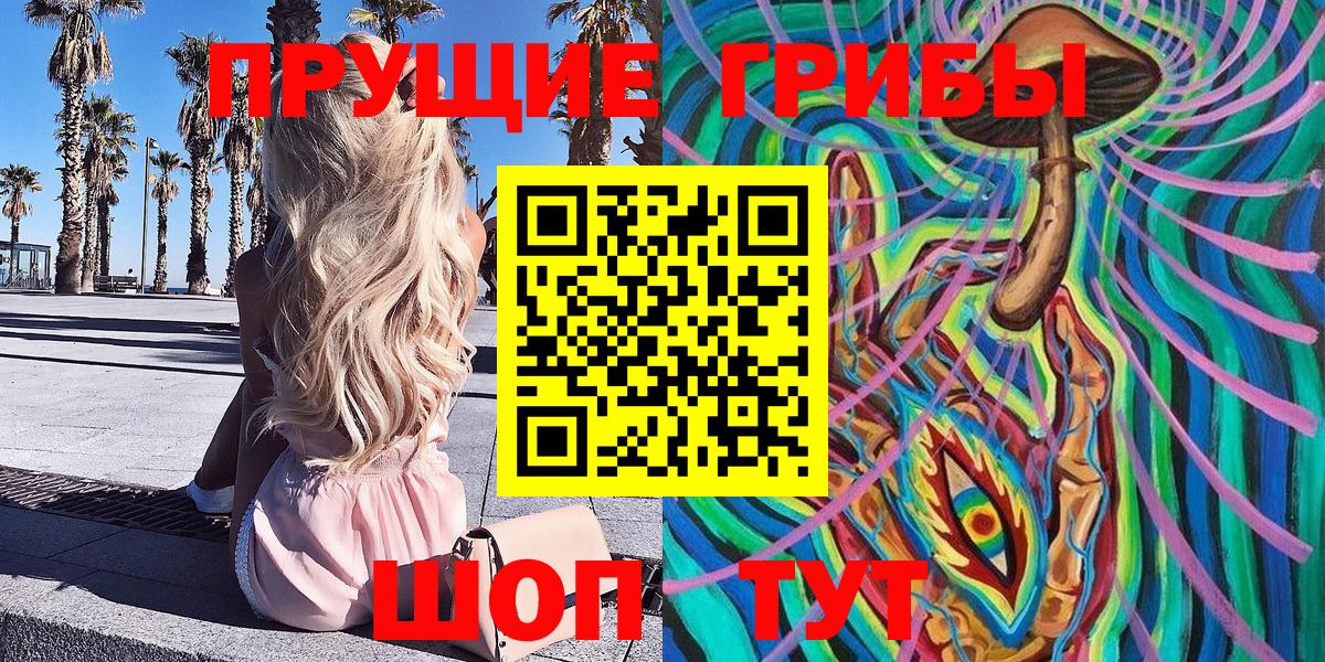Алейск  Галлюциногенные грибы Psilocybine cubensis  где купить наркоту  Вход с VPN  Галлюциногенные грибы GOLDEN TEACHER 