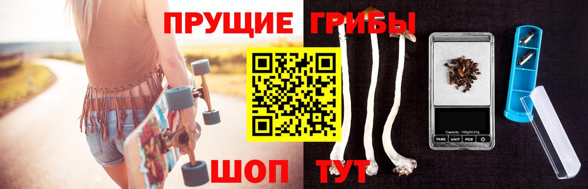 Галлюциногенные грибы GOLDEN TEACHER Алейск