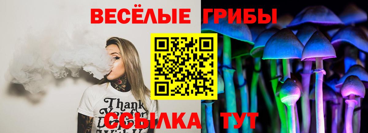 Псилоцибиновые грибы мухоморы Алейск