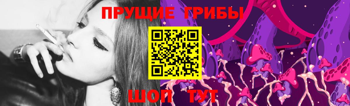 Галлюциногенные грибы прущие грибы  Алейск  Галлюциногенные грибы Cubensis 