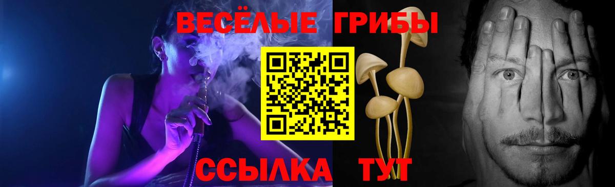 Псилоцибиновые грибы прущие грибы  Вход с VPN  Алейск 